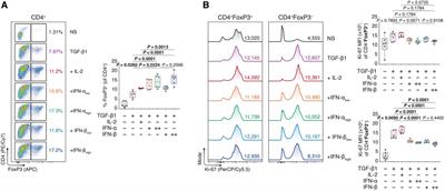 Type I interferons augment regulatory T cell polarization in concert with ancillary cytokine signals